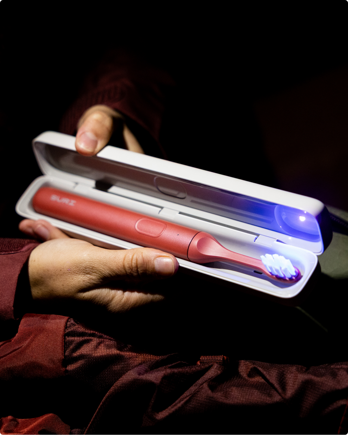 Brush Together Bundle 2.0