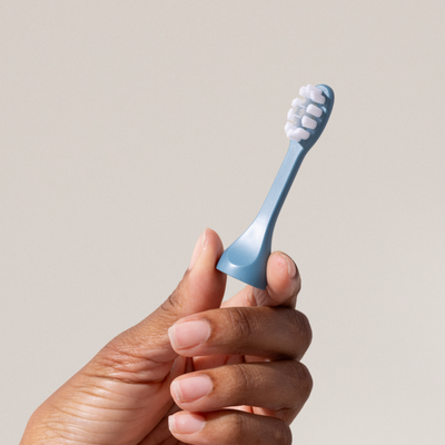 1 brush head