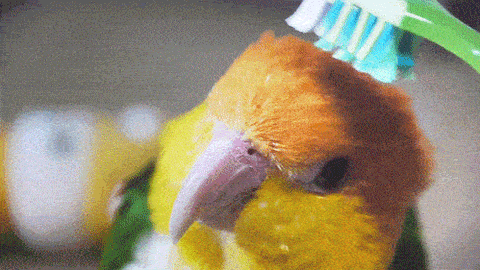 14 biggest mistakes to avoid when brushing your teeth - angle